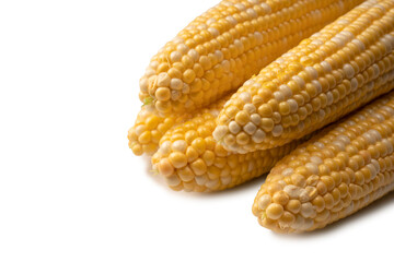 Yellow corn isolated on white background. Copyspace.