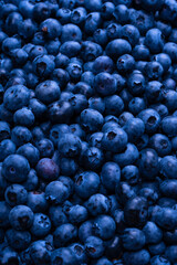 Fresh blueberry background. Texture blueberry berries close up.