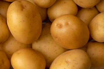 A group of fresh tasty potato as  background.