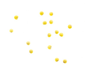 Millet groats isolated on a white background.