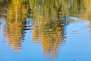 Reflection of trees on the surface of the water in autumn.