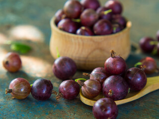 Gooseberries in a bowl on an old surface. leaves and berries of red and green gooseberries. Collect gooseberries. country style.