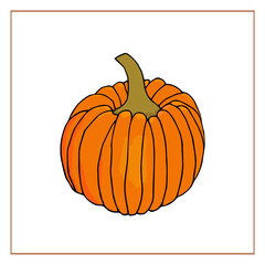 Vector pumpkin isolated on white background. Hand-drawn colored doodle pumpkin. Autumn vegetables. Decoration for Halloween and Thanksgiving.