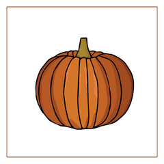 Vector pumpkin isolated on white background. Hand-drawn colored doodle pumpkin. Autumn vegetables. Decoration for Halloween and Thanksgiving.