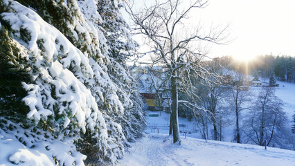 Winter Erzgebirge