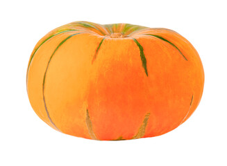 pumpkin isolated on white background