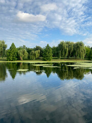 Fototapeta na wymiar Closeup of lake with vegetation and trees and blue sky reflecting on it
