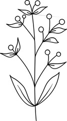floral flower plant lineart,doodle for invitation card