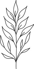 floral flower plant lineart,doodle for invitation card