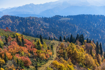 Autumn charm of the picturesque mountains of the Krasnodar Territory, Russia.