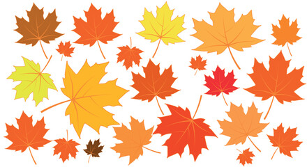 Naklejka na ściany i meble maple leaf of different shapes and colors on white vector