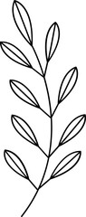 floral flower plant lineart,doodle for invitation card