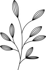 floral flower plant lineart,doodle for invitation card
