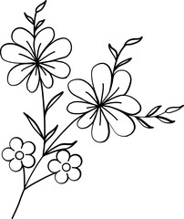Fototapeta na wymiar floral flower plant lineart,doodle for invitation card