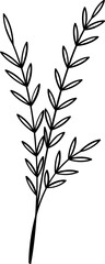 floral flower plant lineart,doodle for invitation card