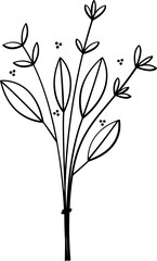 floral flower plant lineart,doodle for invitation card