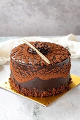 Chocolate chip cake on gray background. Chocolate covered cake with chocolate and cream inside. close up