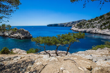 Sugiton , Marseille , France - Calanques de Sugiton trois pins