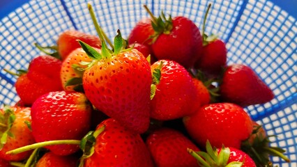 strawberries in a bowl