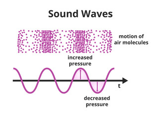 Vector scientific illustration of sound wave – sound is a pressure wave. Compressed and rarefied air molecules or particles and wave with frequency and amplitude isolated on a white background. - obrazy, fototapety, plakaty