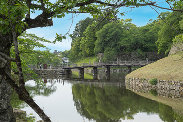 Fototapeta na wymiar 彦根城のお堀に反射する大手門橋
