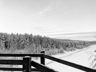 Latvian winter forest in December