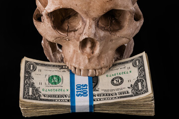 Model of a human skull and a pack of American dollars
