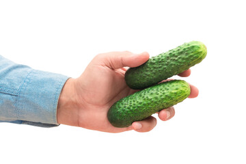 Fresh cucumbers in a male hand on a white isolated background. The concept of cooking
