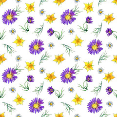 seamless watercolor pattern with wild flowers and asters on a white background.