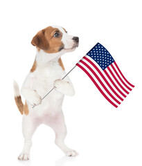 Funny Jack russell terrier celebrating  independence day 4th of july with usa flag and looking away on empty space. isolated on white background