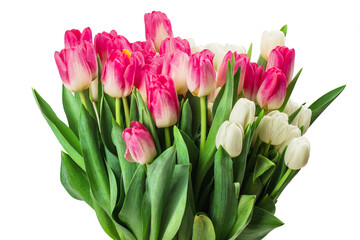 Bouquet of tulips isolated on white background with clipping path