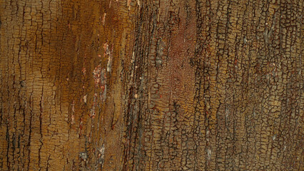 Old desks from old wooden barn's door. Colorful background