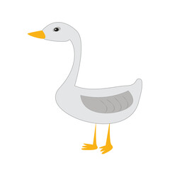 white goose isolated on white