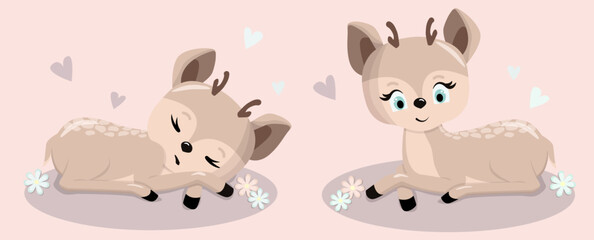 Cute fawn. Funny baby deer.Set fawn