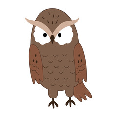 cute owl bird in illustration character 