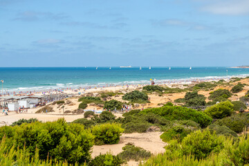 Fototapeta na wymiar sand dunes that give access to La Barrosa beach in Sancti Petri, Cadiz, Spain