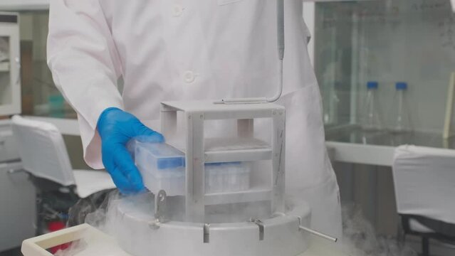 Laboratory samples are taken from a liquid nitrogen fridge