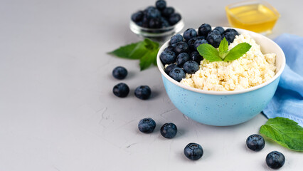 Cottage cheese, ripe blueberry and honey for breakfast. Banner. Close-up. Copy space.