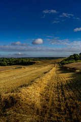 Obraz premium Paysage campagne 1415