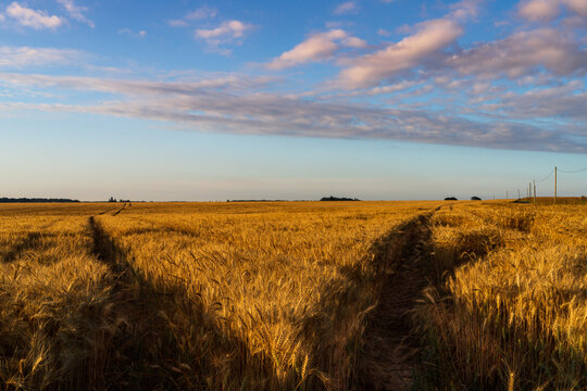 Paysage campagne 1410