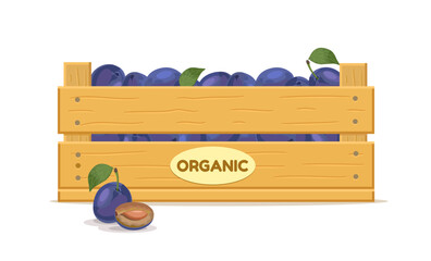 Wooden box with plums. Fruit box icon. Vector illustration isolated on white background.