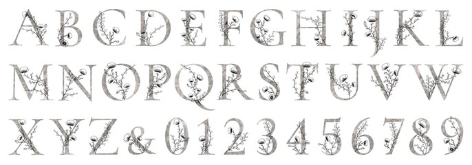 Silver floral alphabet, gray foil monogram letters with black line art flowers, buds and leaves, botanical alphabet isolated on white background