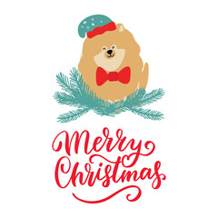 Christmas puppy dog pomeranian. Merry Christmas for dog lover. Cute cartoon vector illustration. Holidays design element for greeting cards, stickers, t shirt, poster.