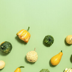 Flat lay autumn pumpkins Fall harvest thanksgiving halloween creative top view.