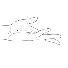 Isolated vector illustration. Beautiful female hand with open palm in elegant gesture. Hand drawn linear sketch. Black silhouette on white background.
