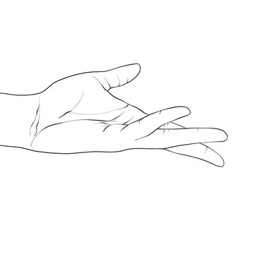 Isolated vector illustration. Beautiful female hand with open palm in elegant gesture. Hand drawn linear sketch. Black silhouette on white background.