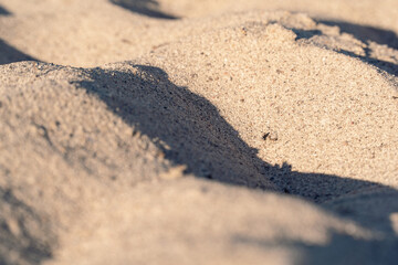 Beach sand background in the foreground with its grainy texture and a golden color.