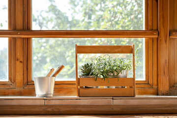 Sunny glass and wooden balcony with potted houseplant.
