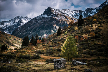 Autumn in the Alps