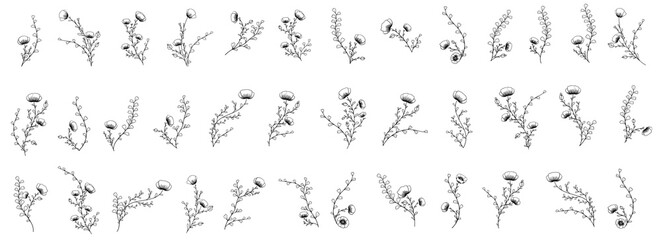 Line art floral arrangements with poppy flowers, buds, stems, twigs and grass branches, decorative botanical illustrations isolated on white background